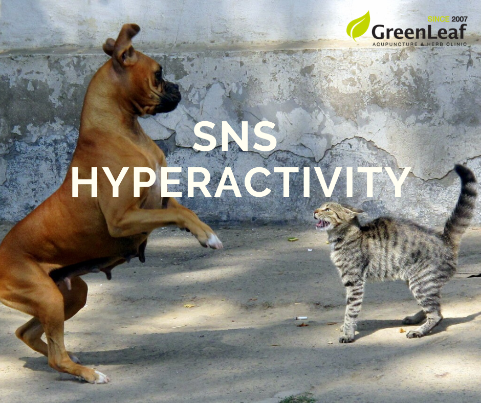 Sns Hyperactivity Fb