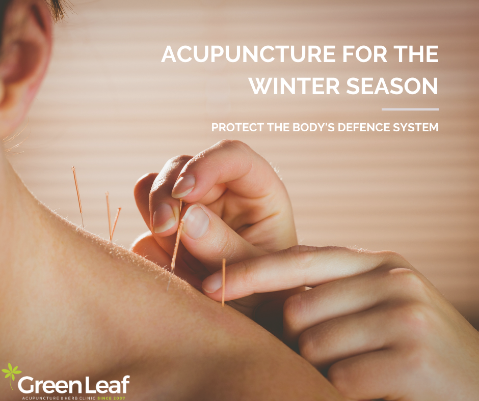 Acupuncture, winter, TCM, Greenleaf Clinic and Acupuncture
