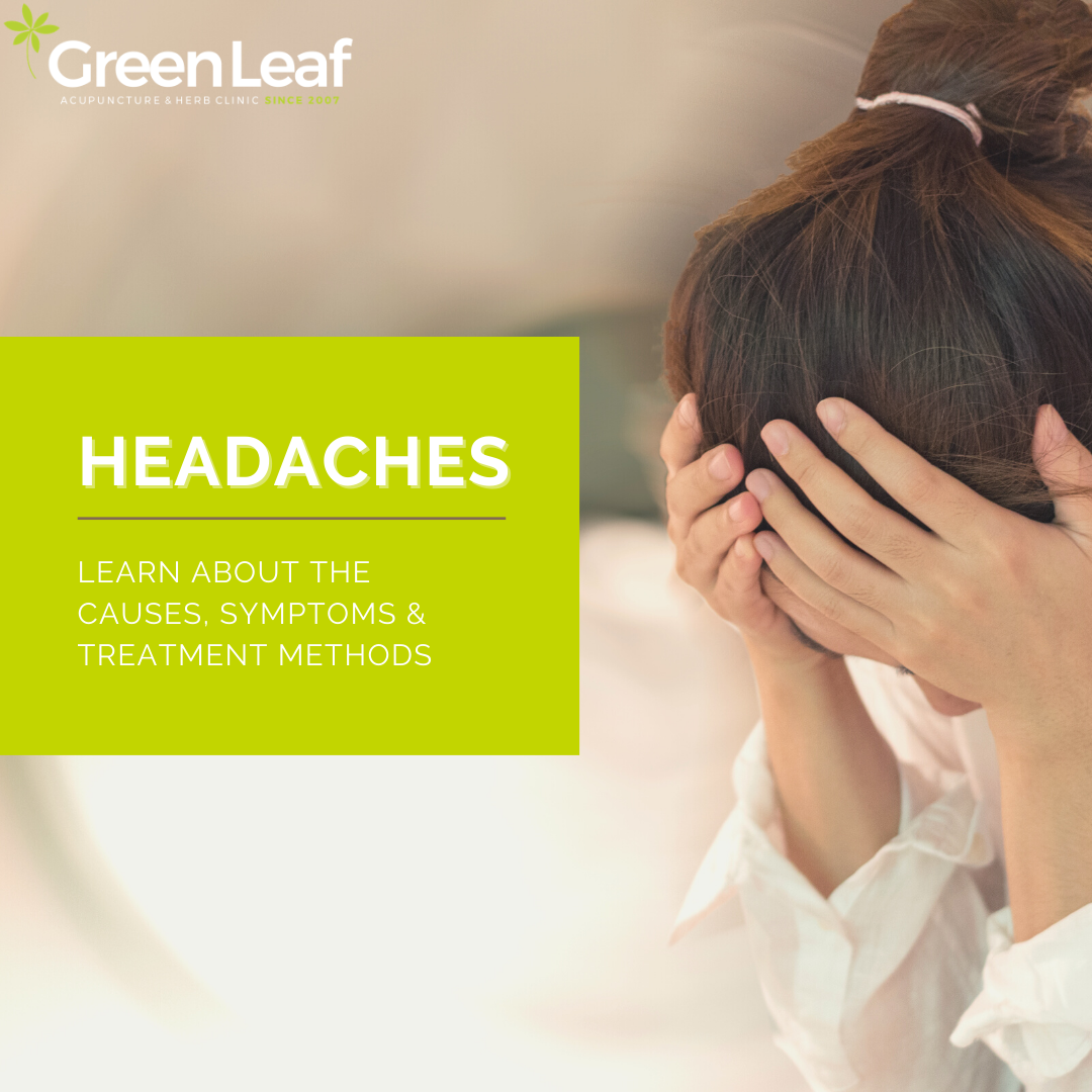 GreenLeaf Acupuncture and herb clinic, tcm, acupuncture, eastern medicine, headaches