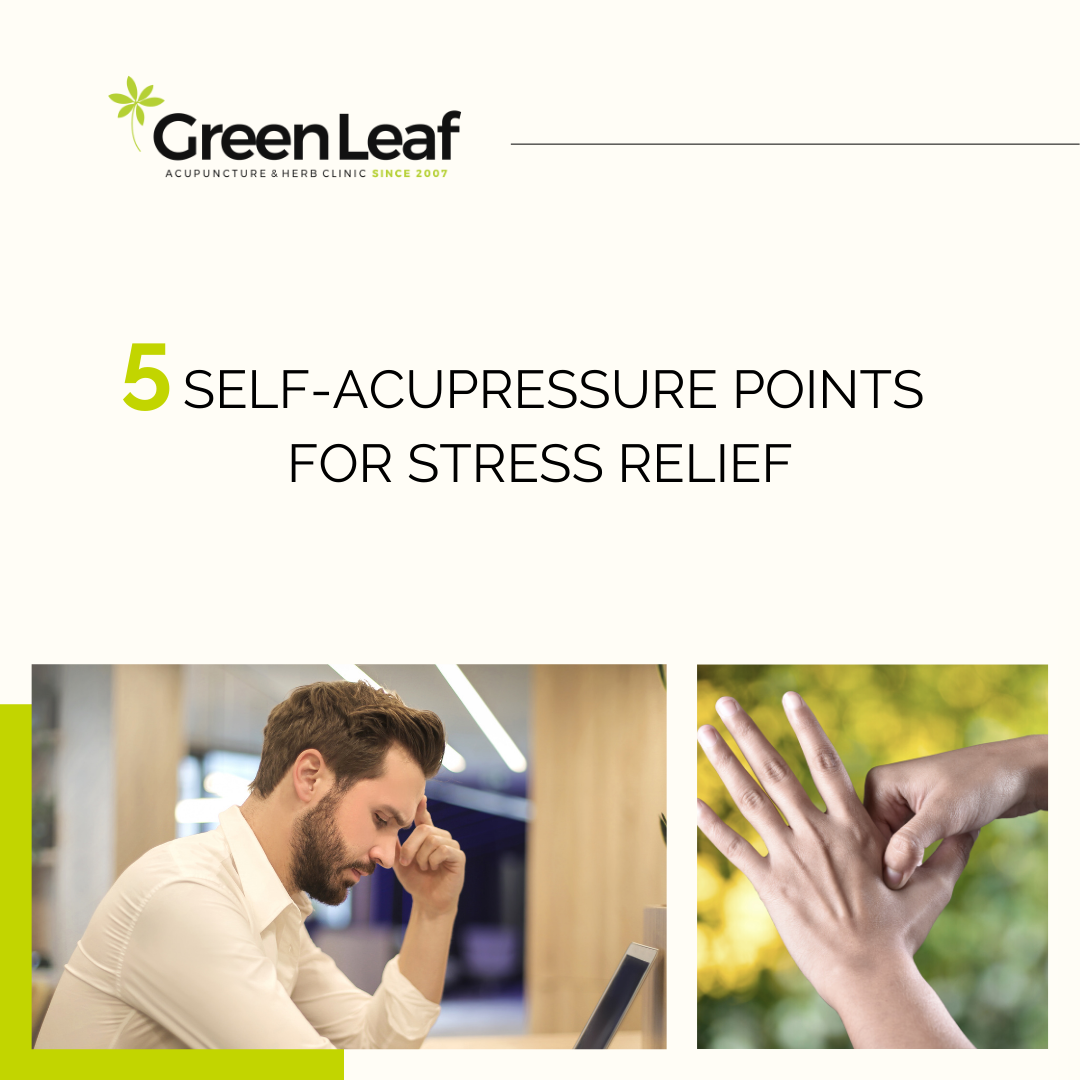 greenleaf acupuncture clinic, acupuncture, acupressure, stress relief
