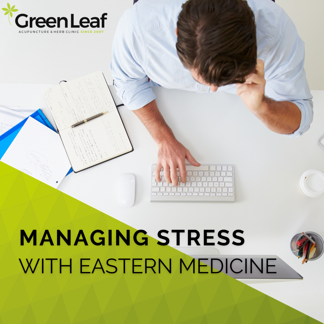greenleaf acupuncture clinic, stress management, acupuncture, tcm