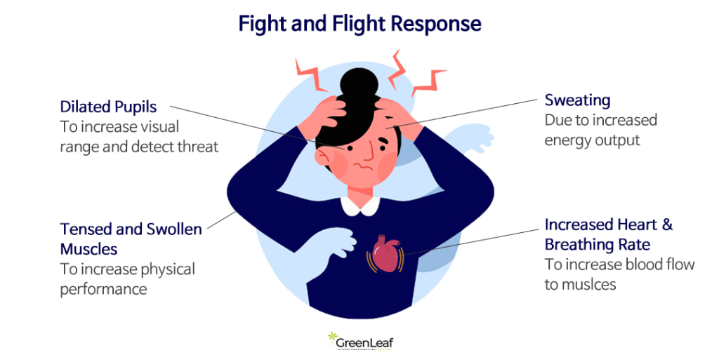 Fight and Flight Response